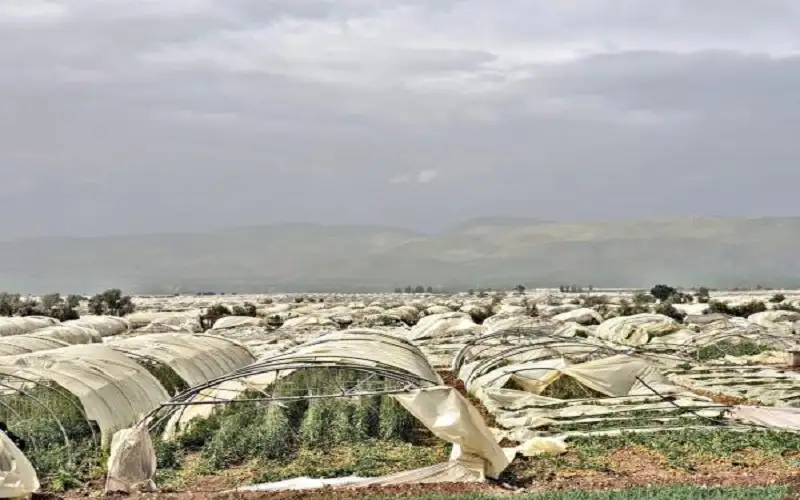 الإقراض الزراعي توافق على تأجيل المطالبة