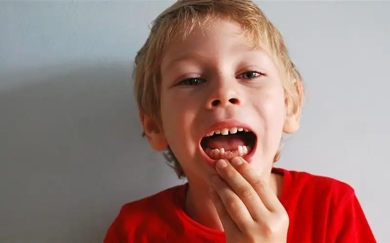 دواء لإنبات أسنان بشرية جديدة