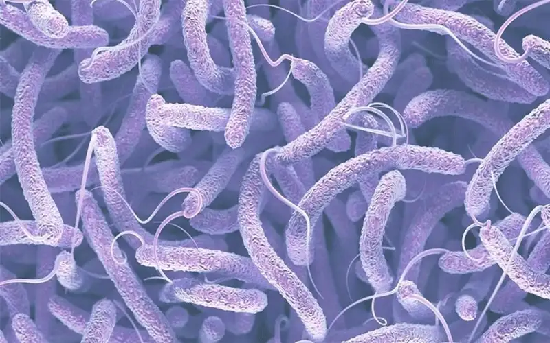 هل الأردن بمنأى عن تسجيل حالات