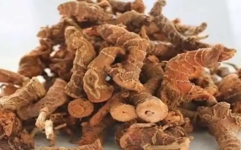 فوائد الخولنجان بحسب ما أثبتته الدراسات