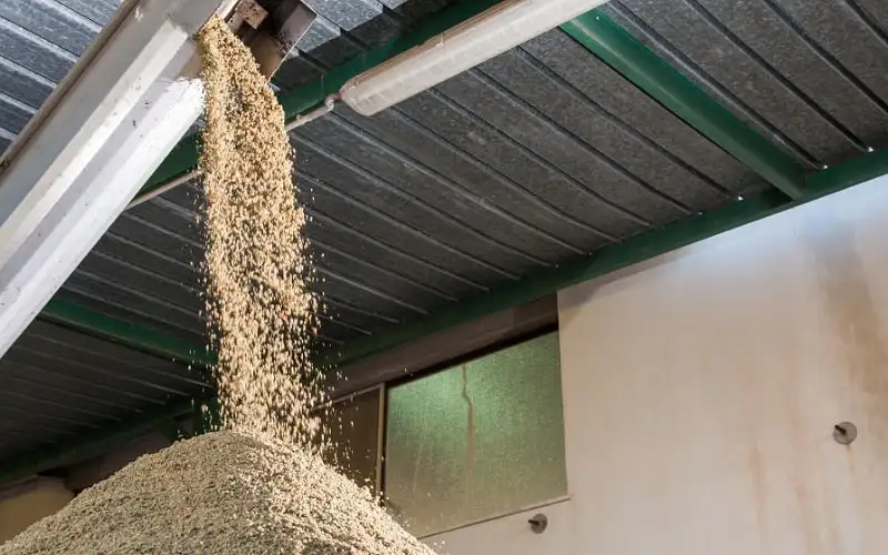 جرش.. إلزام معاصر الزيتون بنقل المخلفات