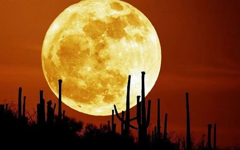 قمر الحصاد يضيء سماء الأردن اليوم