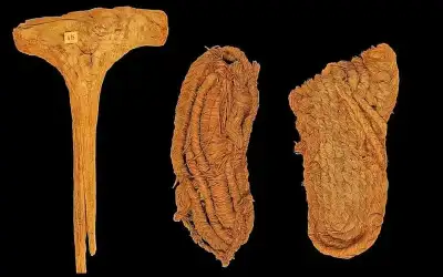اكتشاف أقدم حذاء في أوروبا بكهف