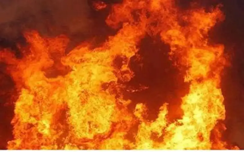 87 حادث حريق خلال 24 ساعة