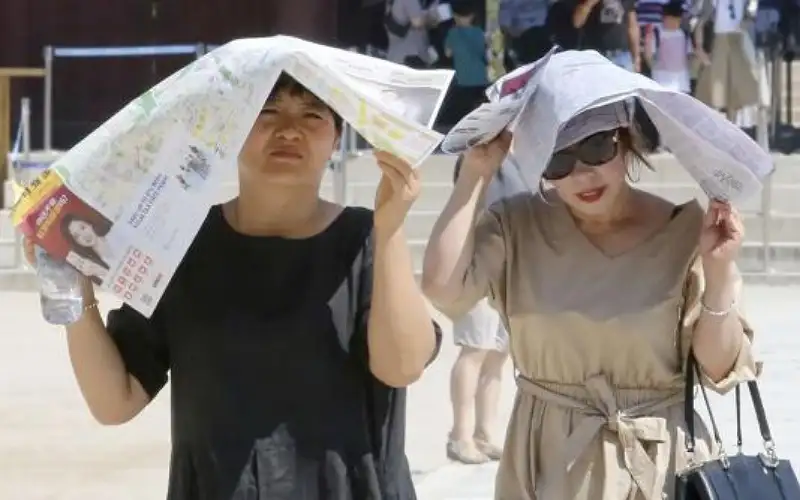 كوريا الجنوبية: حالات الوفاة المرتبطة بالحرارة