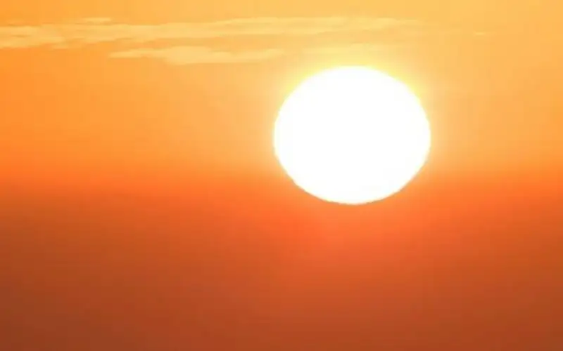 وفاة 3100 شخص بألمانيا بسبب الحرارة