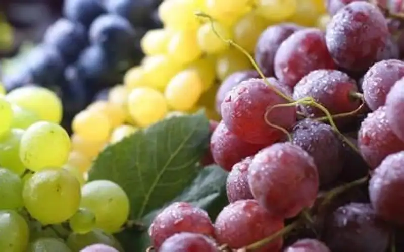 أهم فوائد العنب المذهلة للحامل