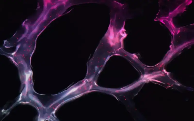 علماء ينجحون في معالجة الشلل التام