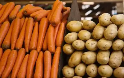 الزراعة تبرر ارتفاع أسعار البطاطا والجزر: