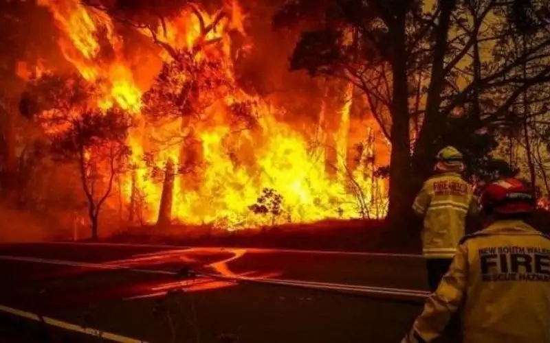 حرائق واسعة تدفع سياح وسكان للفرار