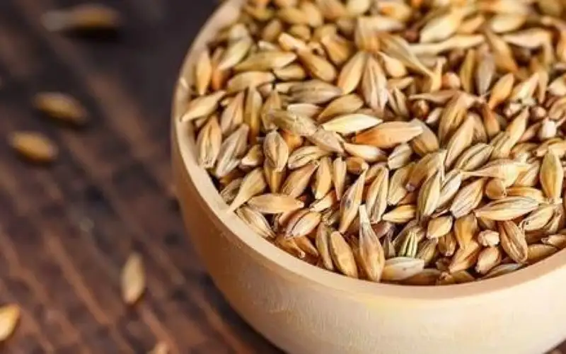 فوائد الشعير للأعصاب مهمة جدا تعرف