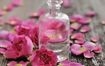 فوائد شرب ماء الورد للنساء