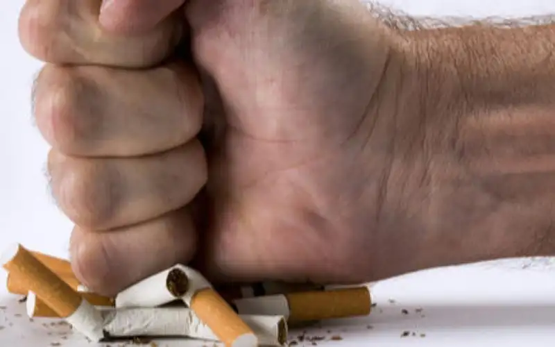 ماذا يحدث لجسم الإنسان عند التوقف