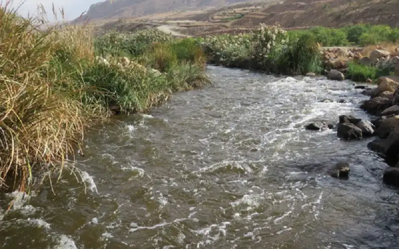 لجنة نيابية تبحث قرار منع استخدام