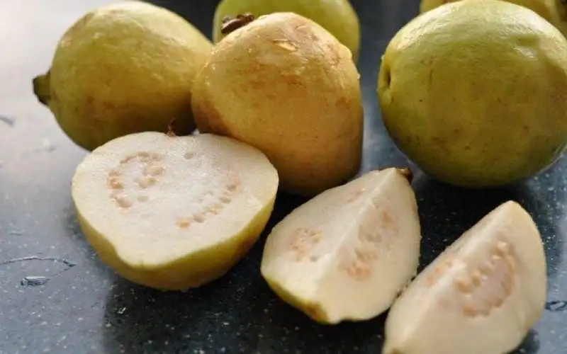 فئات ممنوعة من تناول الجوافة