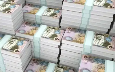 إجمالي الدين العام يتجاوز 40 مليار
