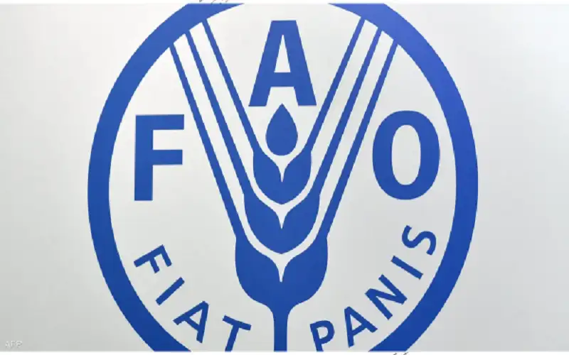 استقرار مؤشر فاو لأسعار الغذاء في