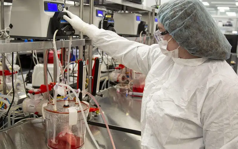 الكبد الدهني.. مرض كبار السن يهدد