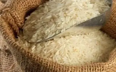 أسعار الأرز تقفز لأعلى مستوياتها في