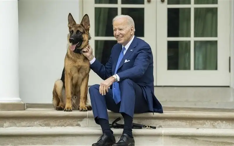 طرد كلب الرئيس الأميركي من البيت