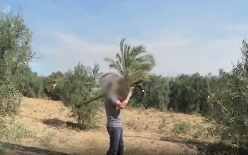 ما هي منظومة متبر 1 التي