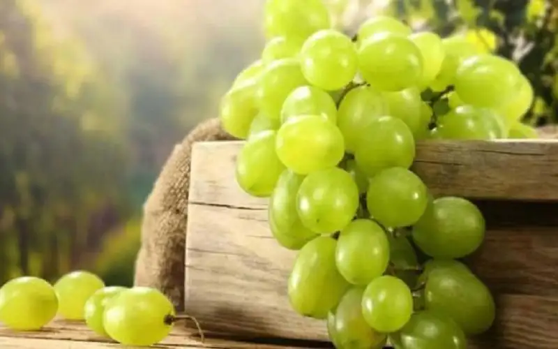 فوائد العنب لمرضى الضغط
