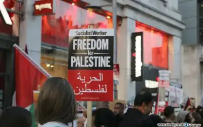 مدن أميركية تشهد تظاهرات مؤيدة لفلسطين