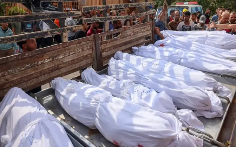 أطفال بأكياس ملطخة بالدماء .. غزة