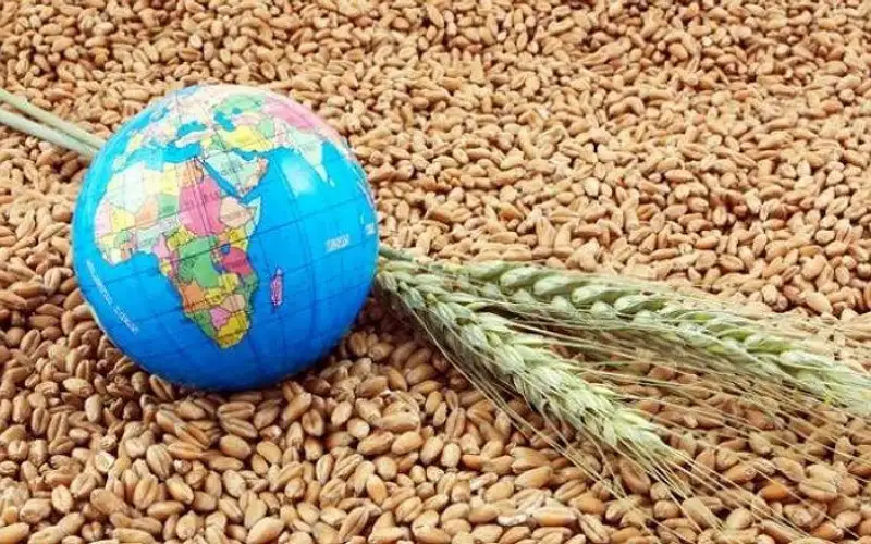 %30 من سكان العالم يفتقرون للأمن