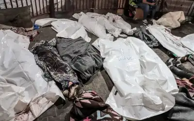 مفوض حقوق الإنسان الأممي: عاجزون عن