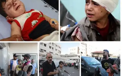 ألمانيا أمام زعماء العرب: الحرب بغزة