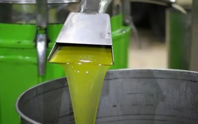 بدء استقبال طلبات شحن زيت الزيتون