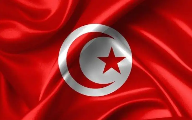 تونس عن مشروع القرار العربي للهدنة