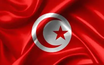 تونس عن مشروع القرار العربي للهدنة