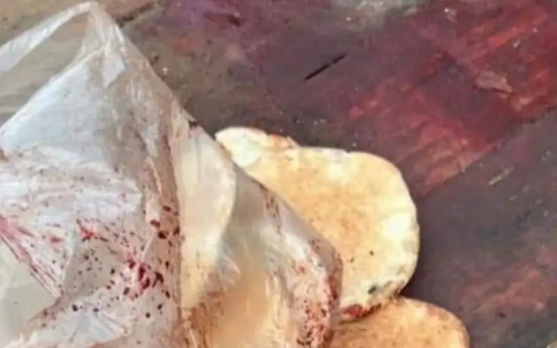 الأونروا: الفلسطيني بغزة يعيش على قطعتي