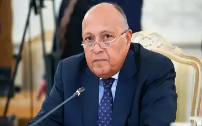 وزير الخارجية المصري: نرفض بأي شكل