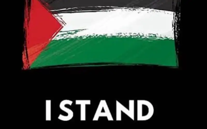تيك توك: المشاهدات المؤيدة لفلسطين تفوق