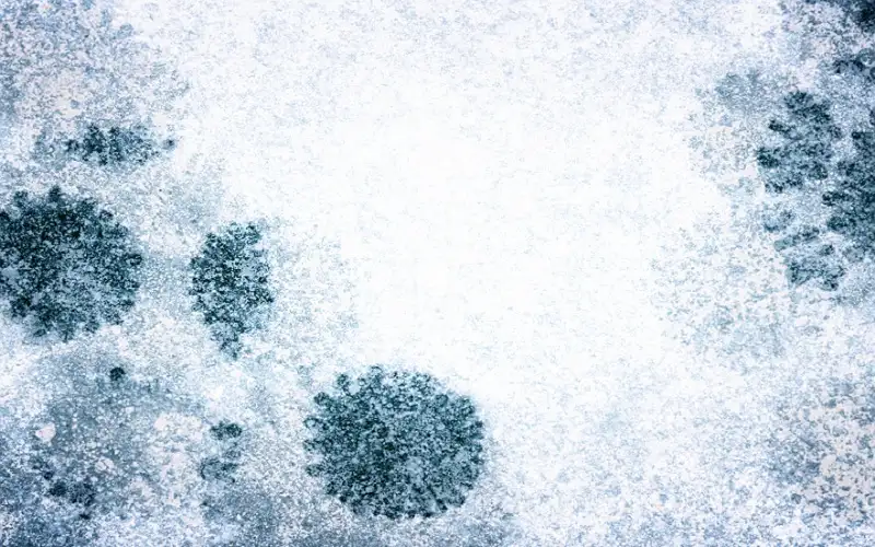 تحذير من تضاعف الوفيات الناجمة عن