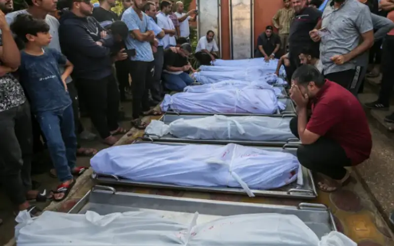 وزارة الصحة في غزة: 10022 شهيدا