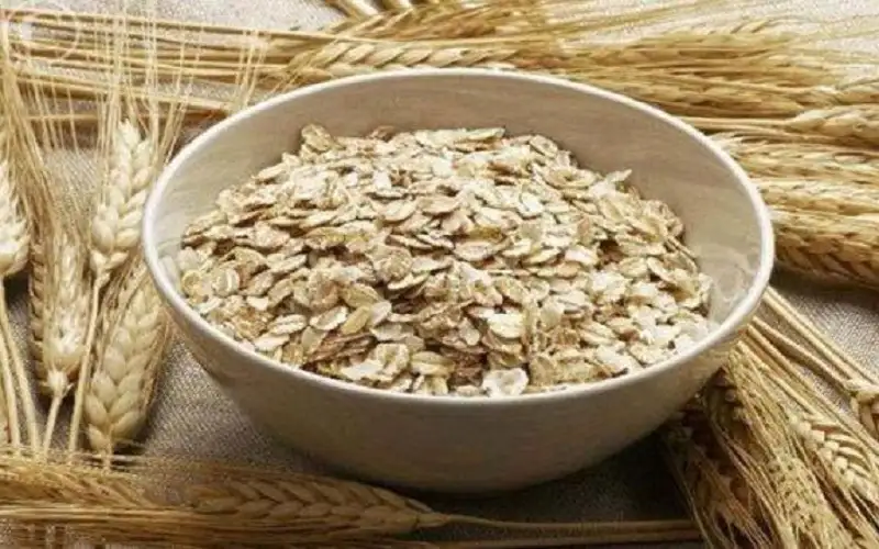 نخالة الشوفان.. 12 فائدة مهمة للصحة