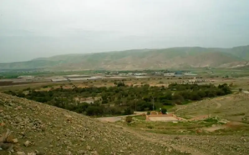 مستوطنون يستولون على أراض في الأغوار