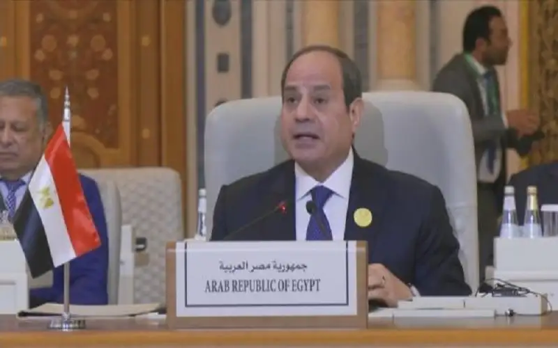 السيسي يطالب بتحقيق دولي بما ارتكبه