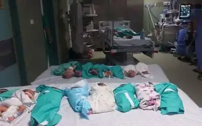 وفاة 5 من الخدج بمجمع الشفاء