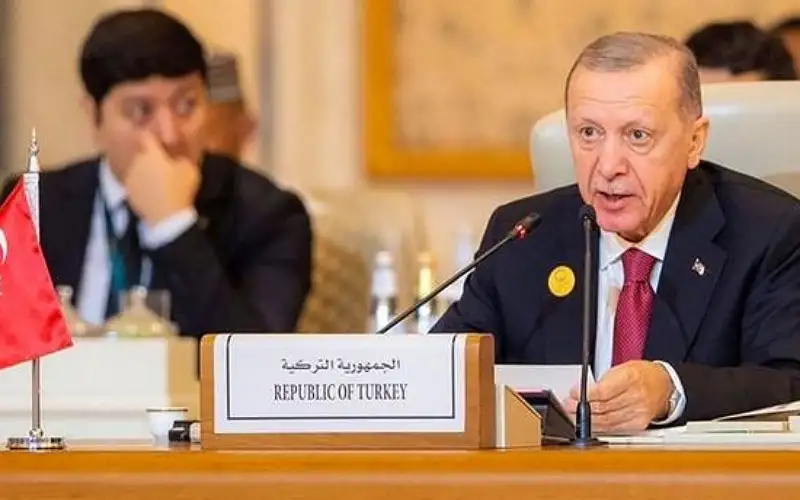 أردوغان يدعو للضغط على واشنطن