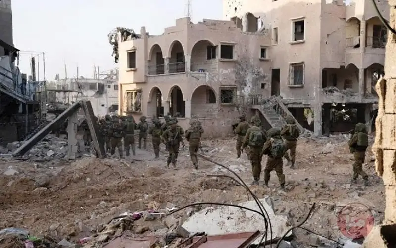 50 ألف حامل تفتقر للرعاية بغزة