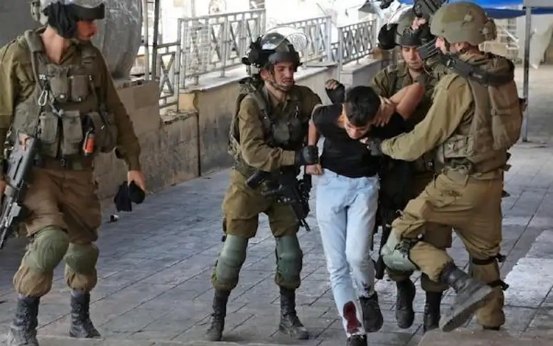 الاحتلال يعتقل 40 فلسطينيا في الضفة