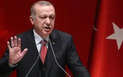 أردوغان: سنتقدم مع ألفي محام شكوى