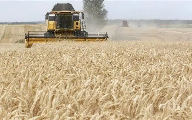 روسيا تفرض قيود على تصدير الحبوب