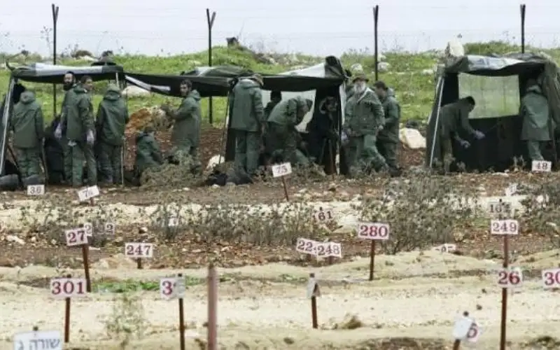 مرصد دولي يدعو لتحقيق بسرقة الاحتلال