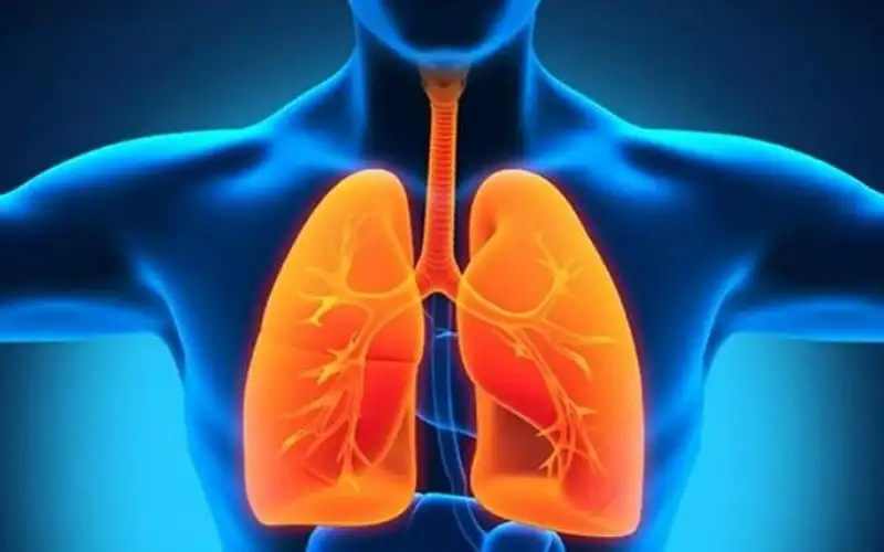 بطرق طبيعية.. كيفية تنظيف الرئتين من